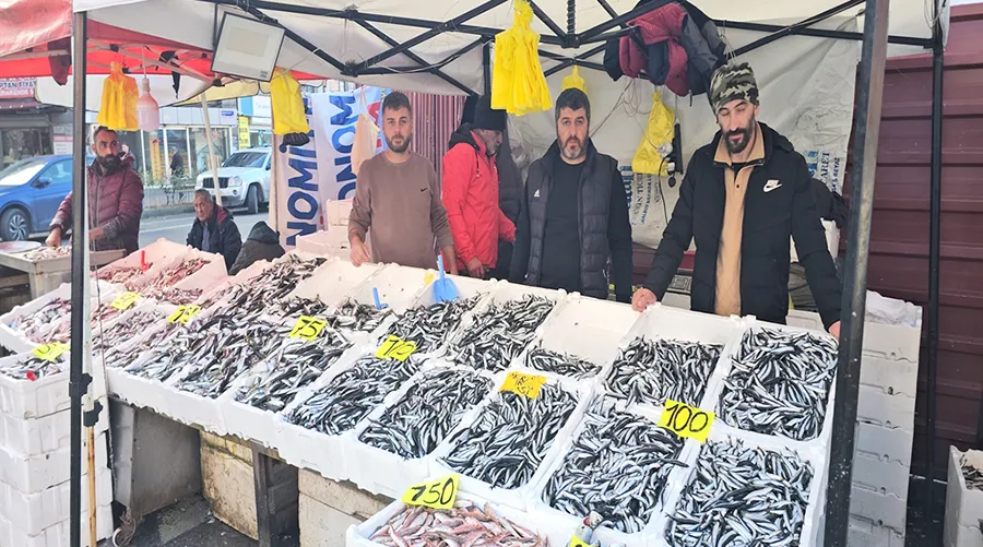 Zonguldak’tan hamsi fışkırdı… Fiyatı dibe çakıldı…