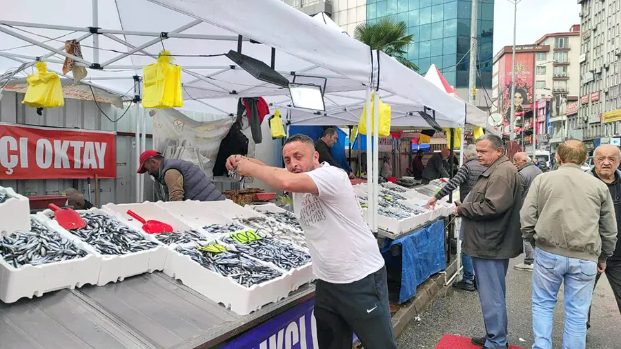 Zonguldak’ta hamsi bollaştı… Fiyatı 100 güldürüyor…