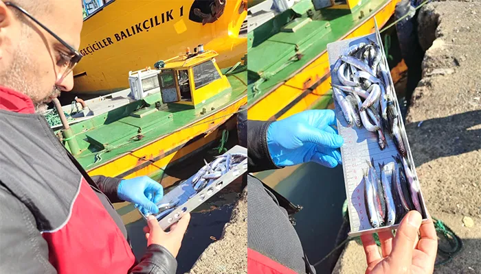 Ereğli’de 153 tekneye e-seyir onayı verildi