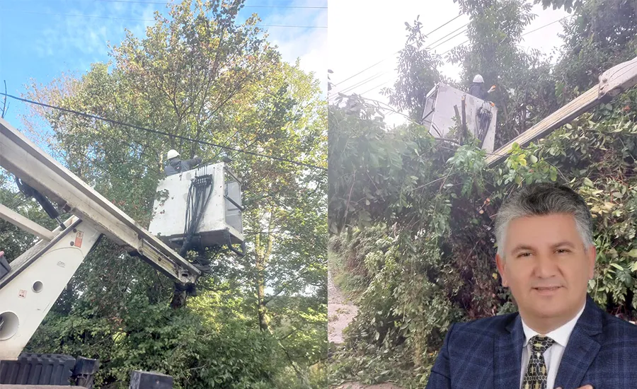 Kozlu Merkez Mahallesi’nde kış öncesi ağaçlar budandı