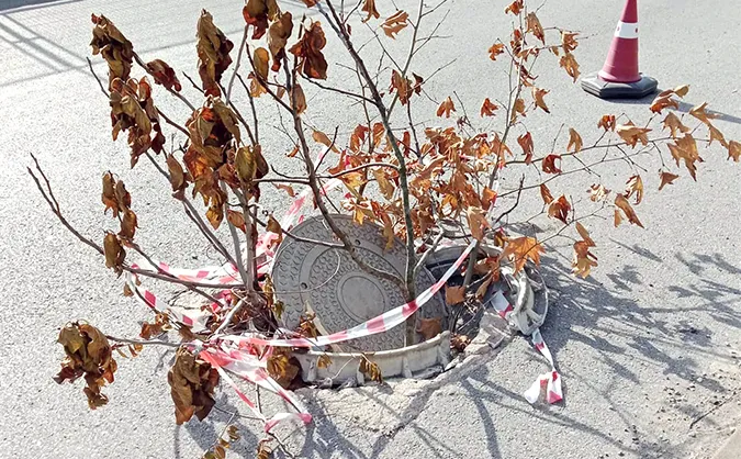 Kozlu’da f*ciaya davetiye çıkarılıyor… Rögar kapaklarının etrafını ağaç dallarıyla kapattılar…