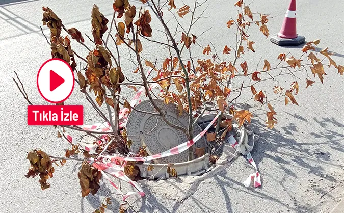 Kozlu’da Telekom rögarı ölüme davetiye çıkarıyor