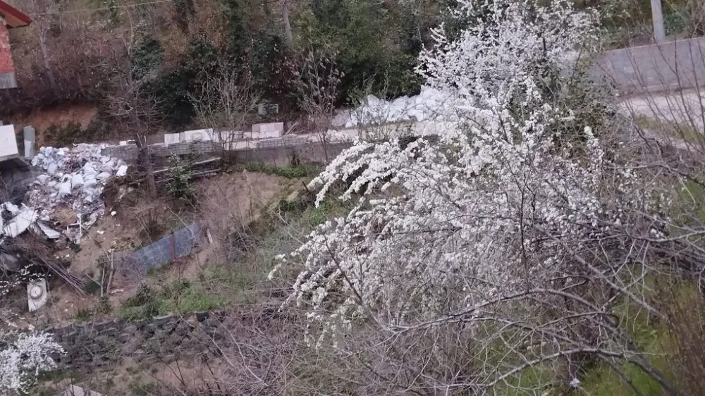 Tabiat uyandı... Meyveler çiçek, ağaçlar yaprak açtı...