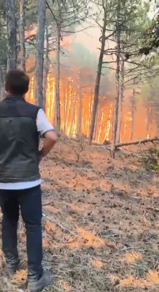 Yangından acı haberler geliyor... Çok sayıda can kaybı var...