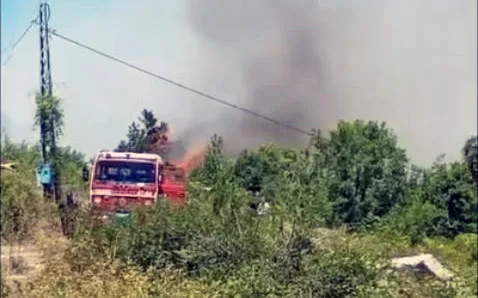 Ereğli’de orman yangını çıktı… Çok sayıda ekip müdahale ediyor…