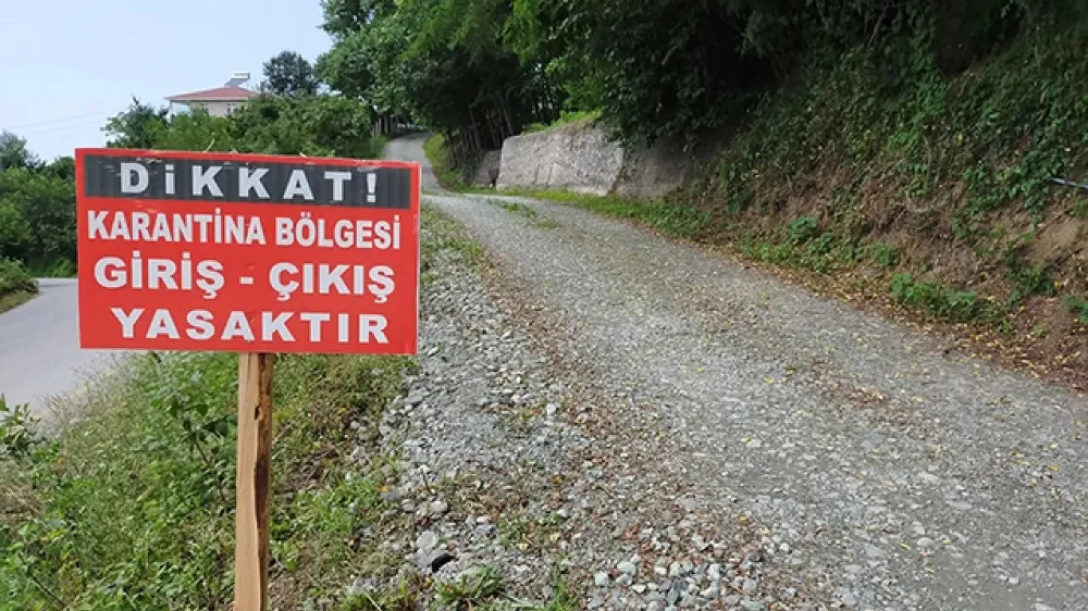 Zonguldak’ta şap alarmı… 9 köy karantinaya alındı…